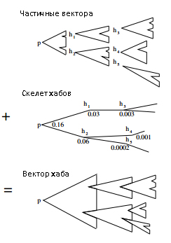 Построение хаб-вектора из частичного вектора и скелета хабов